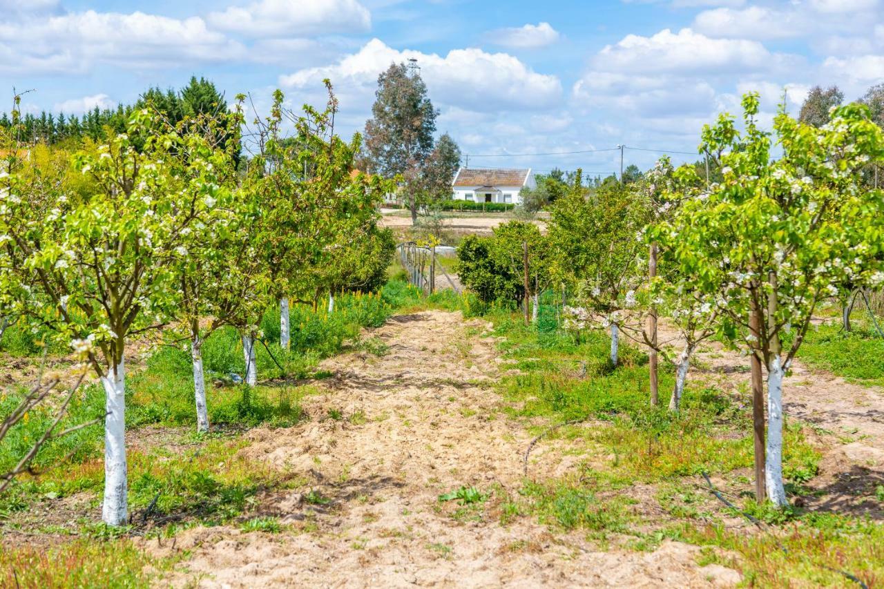 Chitaka'S Organic Farmhouse In Ribatejo Santo Estevao (Santarem) Exterior foto